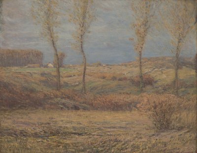 Matin de novembre - Dwight William Tryon